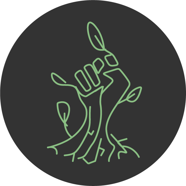 Resistance Studies Network